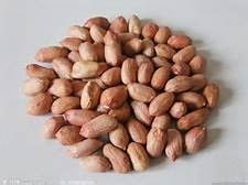 食物營(yíng)養(yǎng)冠軍榜——干果 小小的能量庫(kù)，大大的健康寶